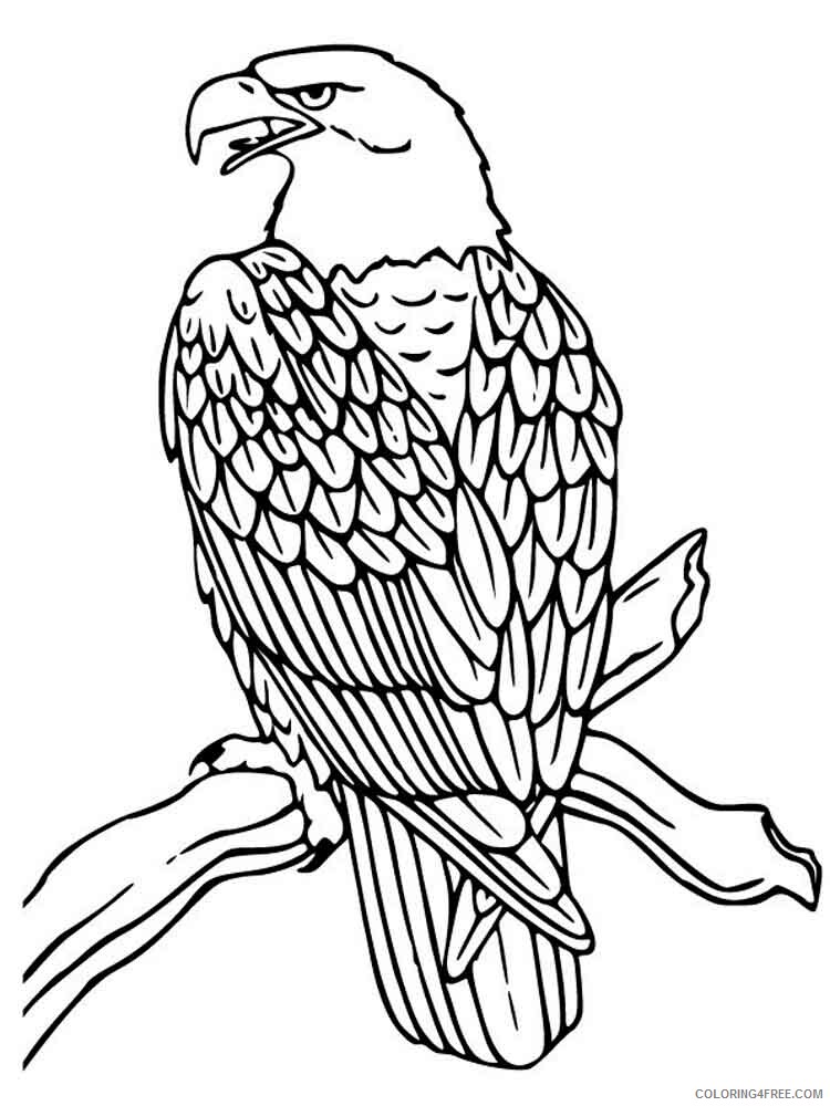 Eagle Coloring Pages Animal Printable Sheets Eagle birds 17 2021 1868 Coloring4free