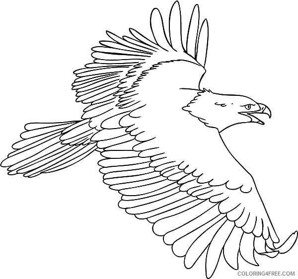 Eagle Coloring Pages Animal Printable Sheets Flying Harpy Eagle 2021 1880 Coloring4free