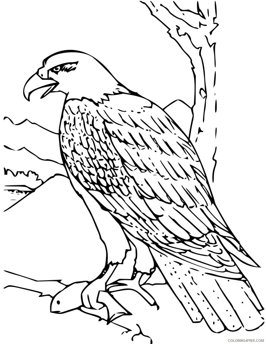 Eagle Coloring Pages Animal Printable Sheets Free Eagle 2021 1881 Coloring4free