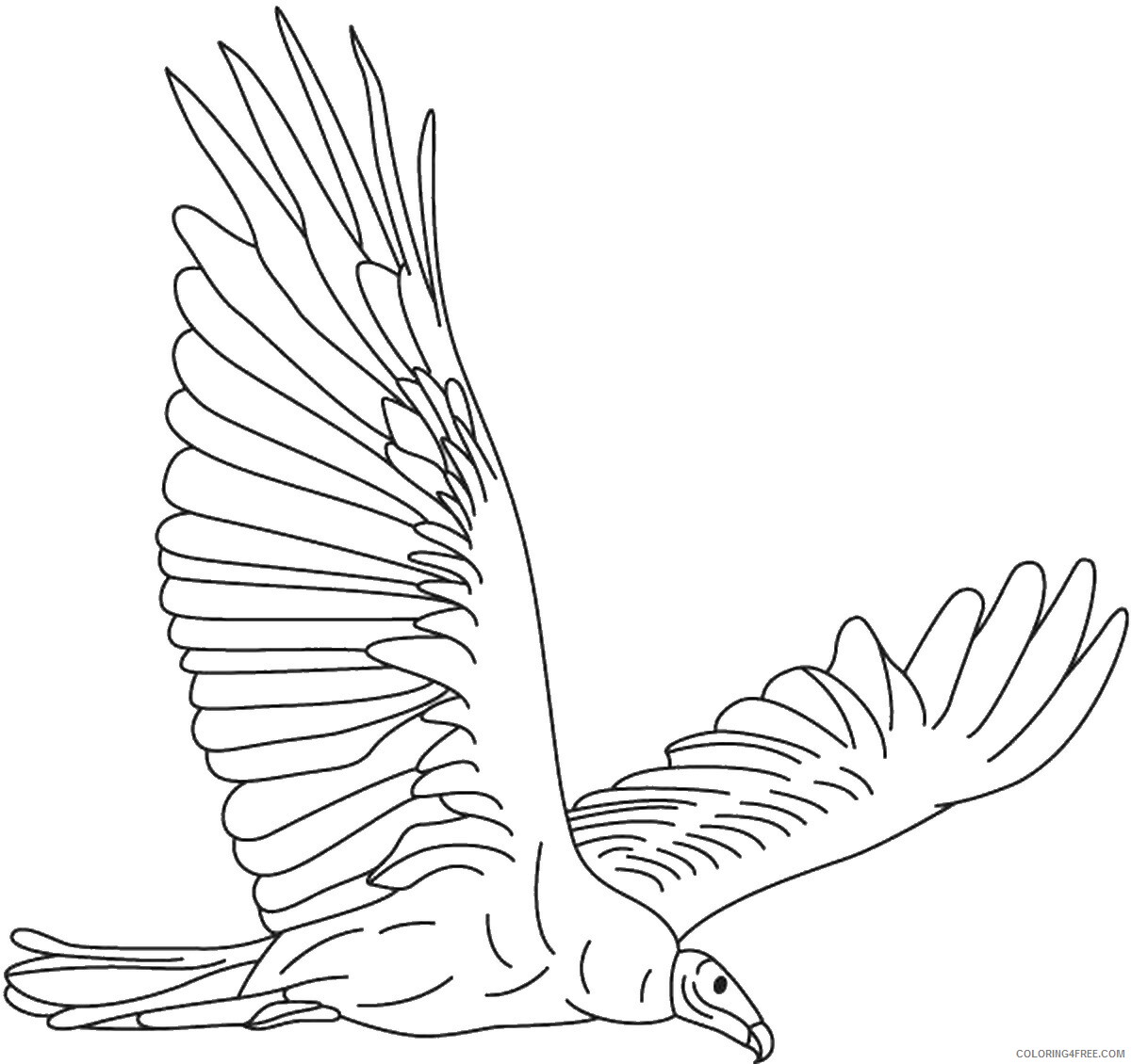 Eagle Coloring Pages Animal Printable Sheets eagle 5 2021 1875 Coloring4free