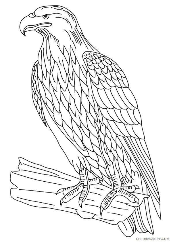 Eagle Coloring Pages Animal Printable Sheets golden eagle 2021 1882 Coloring4free