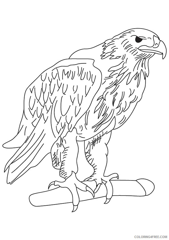 Eagle Coloring Sheets Animal Coloring Pages Printable 2021 1514 Coloring4free
