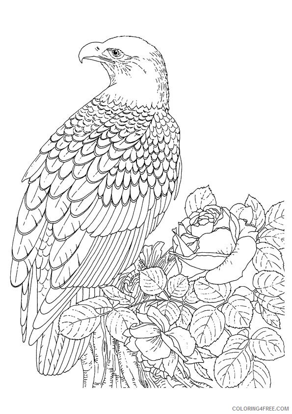 Eagle Coloring Sheets Animal Coloring Pages Printable 2021 1516 Coloring4free