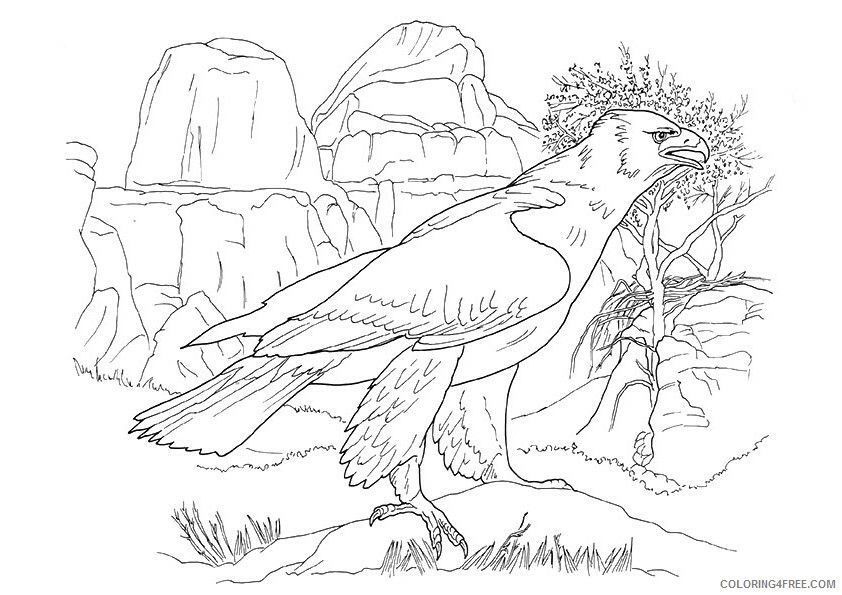 Eagle Coloring Sheets Animal Coloring Pages Printable 2021 1517 Coloring4free