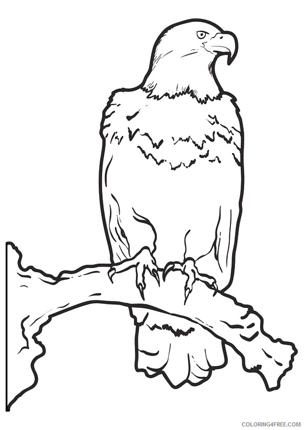Eagle Coloring Sheets Animal Coloring Pages Printable 2021 1523 ...
