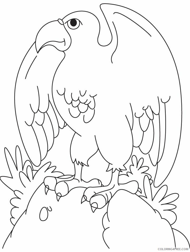 Eagle Coloring Sheets Animal Coloring Pages Printable 2021 1531 Coloring4free