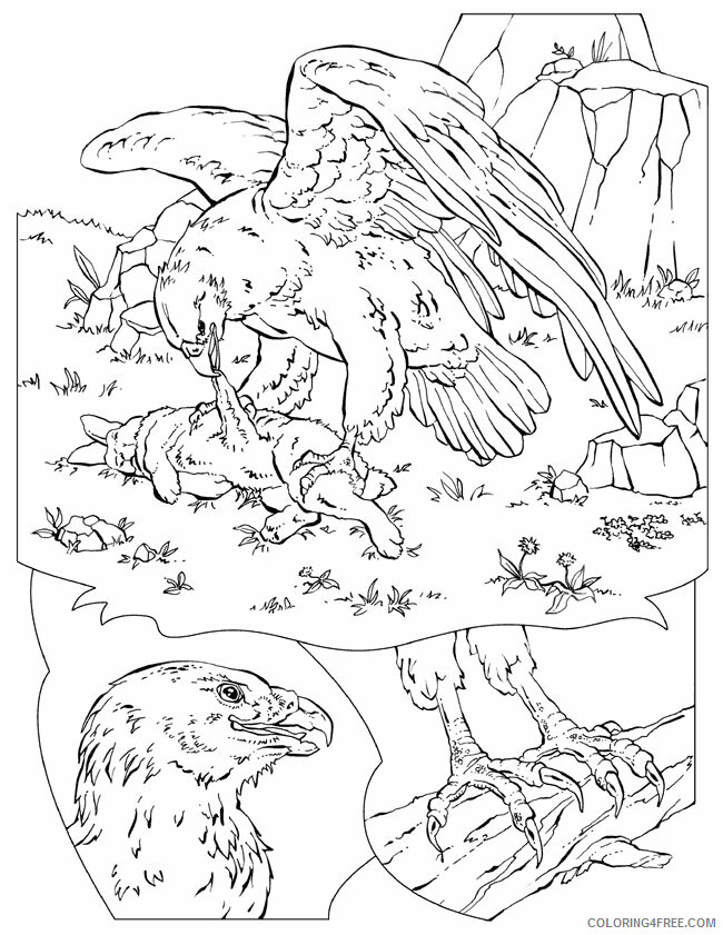 Eagle Coloring Sheets Animal Coloring Pages Printable 2021 1535 Coloring4free