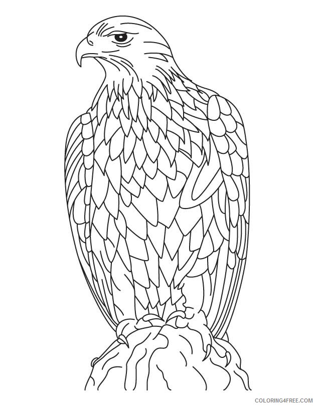 Eagle Coloring Sheets Animal Coloring Pages Printable 2021 1536 Coloring4free