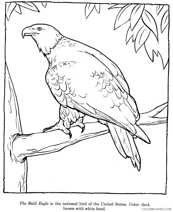 Eagle Coloring Sheets Animal Coloring Pages Printable 2021 1540 Coloring4free