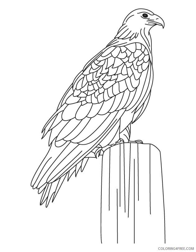 Eagle Coloring Sheets Animal Coloring Pages Printable 2021 1545 Coloring4free