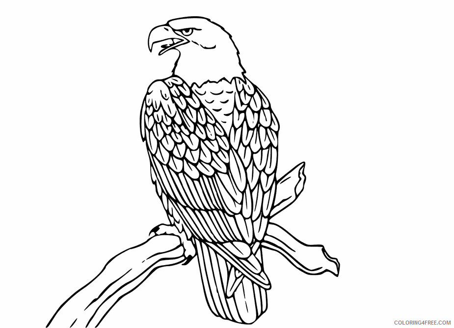 Eagle Coloring Sheets Animal Coloring Pages Printable 2021 1554 Coloring4free