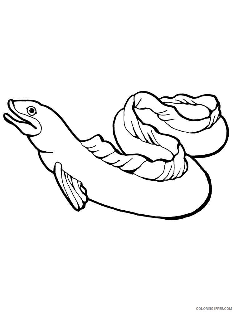 Eels Coloring Pages Animal Printable Sheets Eels 8 2021 1905 Coloring4free
