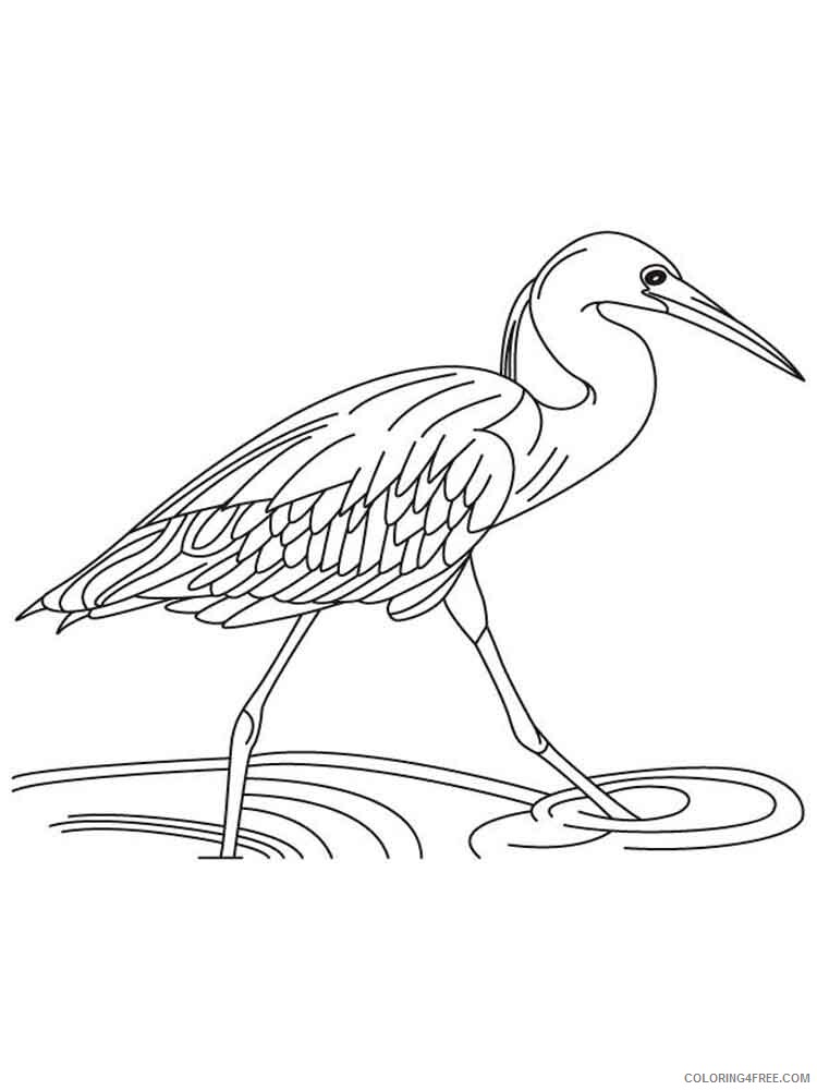 Egrets Coloring Pages Animal Printable Sheets Egrets birds 10 2021 1908 Coloring4free