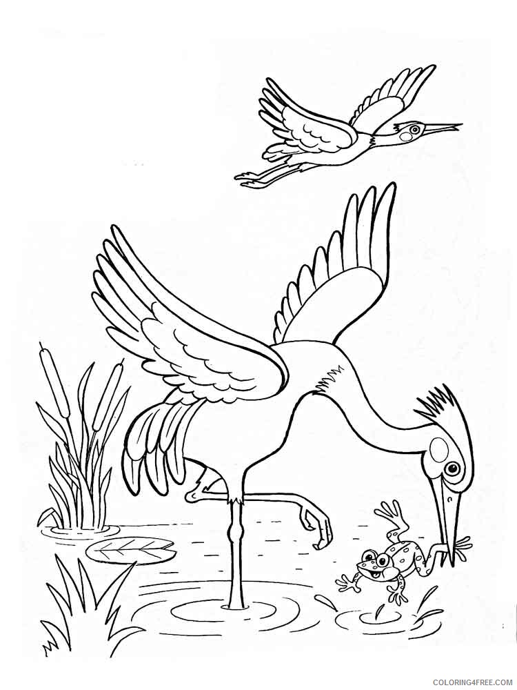 Egrets Coloring Pages Animal Printable Sheets Egrets birds 3 2021 1910 Coloring4free