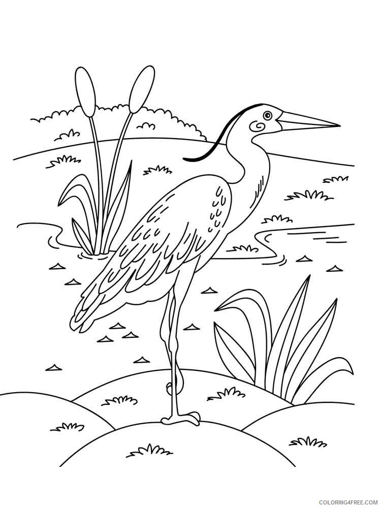 Egrets Coloring Pages Animal Printable Sheets Egrets birds 4 2021 1911 Coloring4free