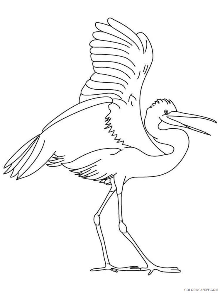 Egrets Coloring Pages Animal Printable Sheets Egrets birds 8 2021 1913 Coloring4free