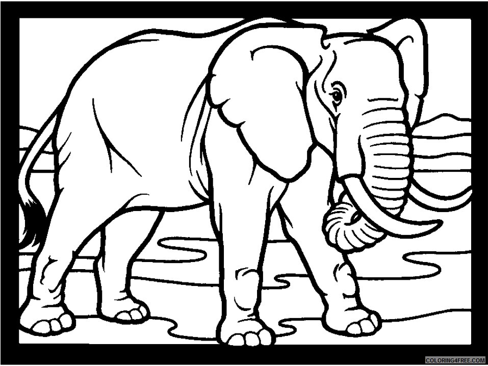 Elephant Coloring Pages Animal Printable Sheets 8 2021 1922 Coloring4free