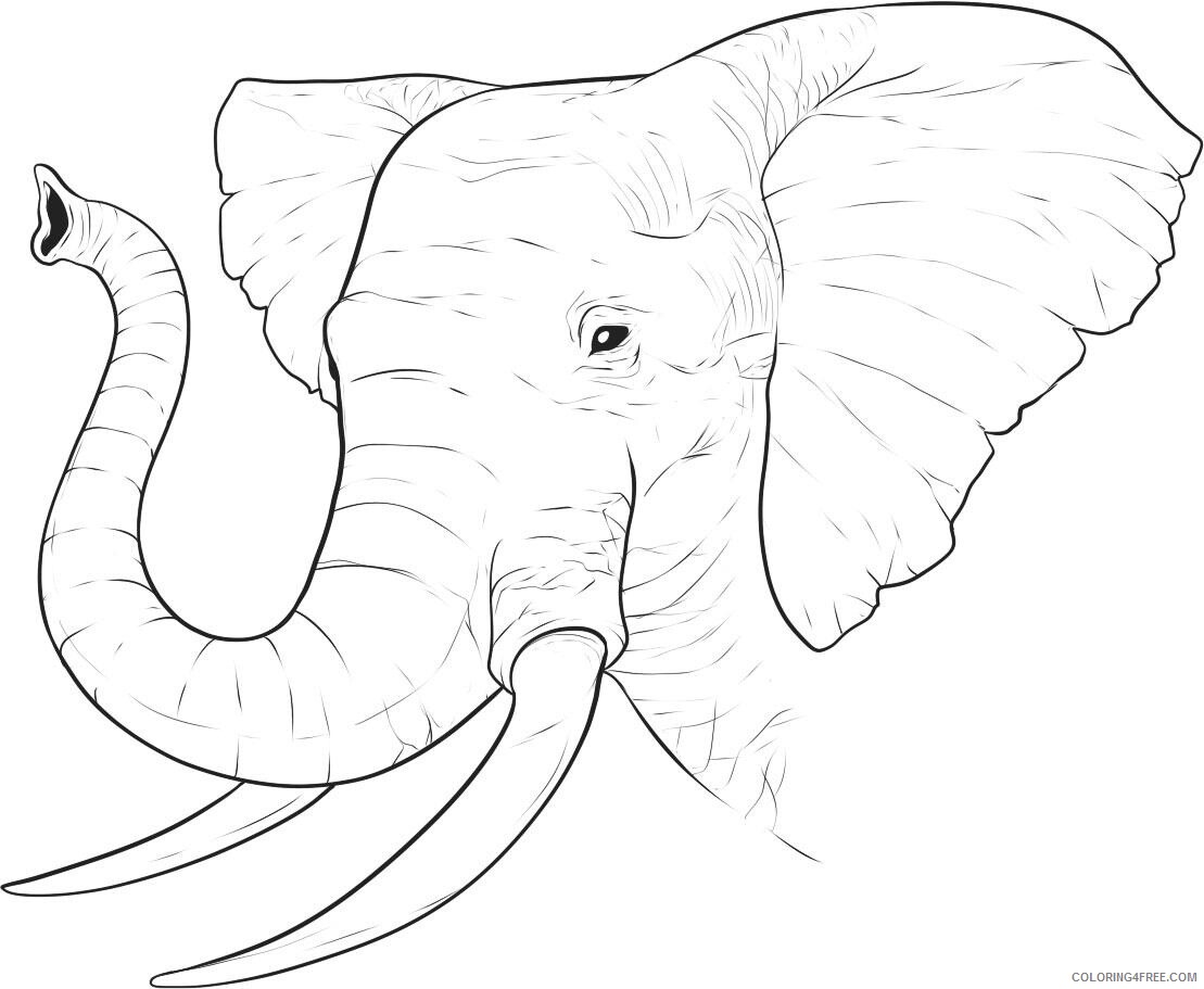 Elephant Coloring Pages Animal Printable Sheets African Elephant 2021 1925 Coloring4free
