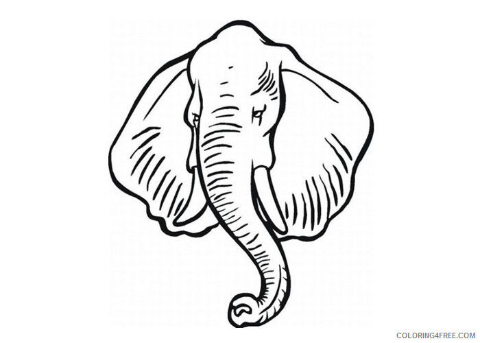 Elephant Coloring Pages Animal Printable Sheets African elephant 2 2021 1924 Coloring4free