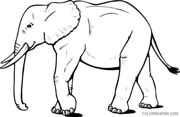 Elephant Coloring Pages Animal Printable Sheets Elephant 2021 1933 Coloring4free