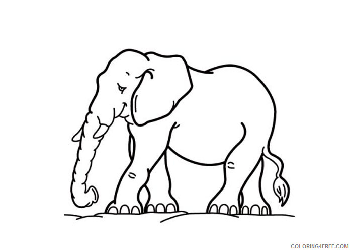 Elephant Coloring Pages Animal Printable Sheets Elephant 2021 1955 Coloring4free