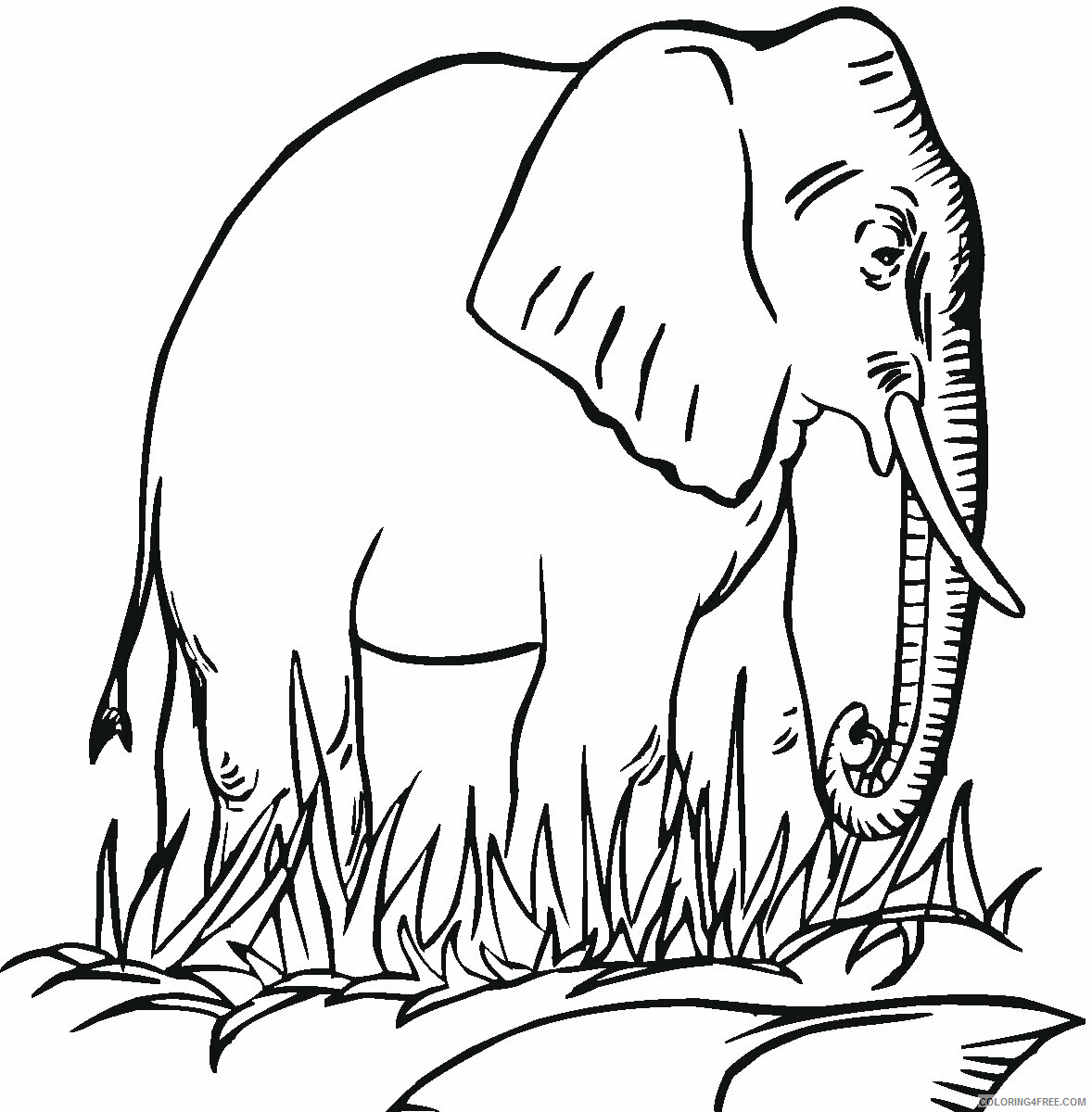 Elephant Coloring Pages Animal Printable Sheets Elephant 2021 1964 Coloring4free