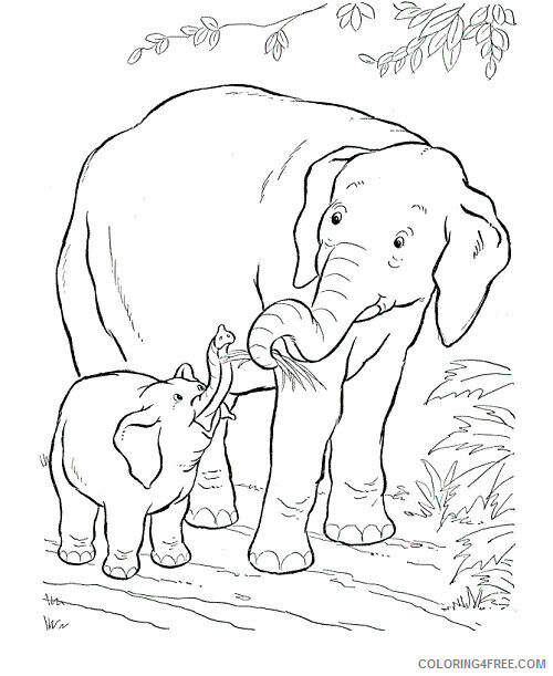 Elephant Coloring Pages Animal Printable Sheets Elephant Sheet 2021 1958 Coloring4free