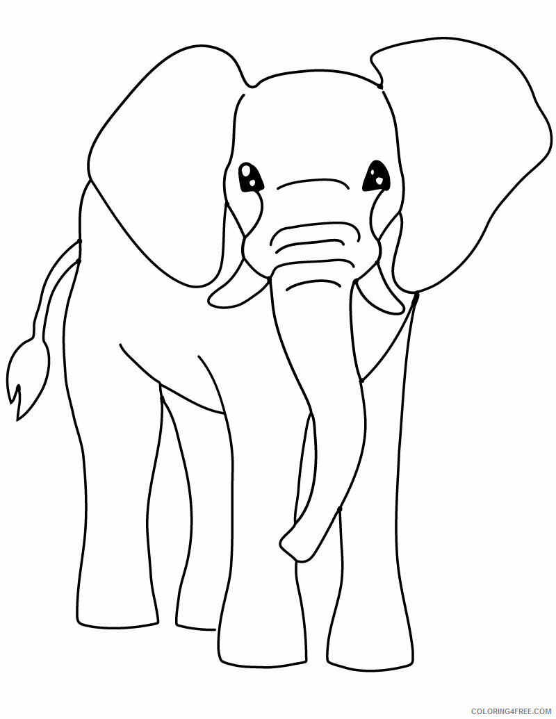 Elephant Coloring Pages Animal Printable Sheets of An Elephant 2021 1934 Coloring4free