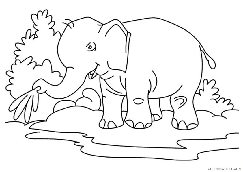 Elephant Coloring Sheets Animal Coloring Pages Printable 2021 1563 Coloring4free