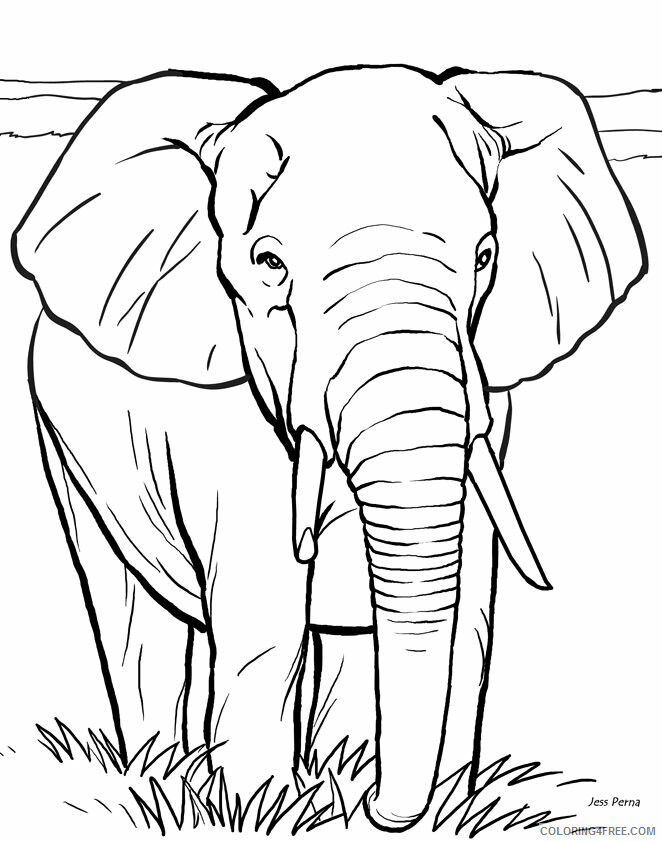 Elephant Coloring Sheets Animal Coloring Pages Printable 2021 1571 Coloring4free