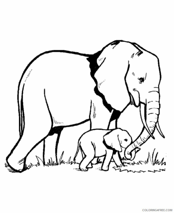 Elephant Coloring Sheets Animal Coloring Pages Printable 2021 1589 Coloring4free