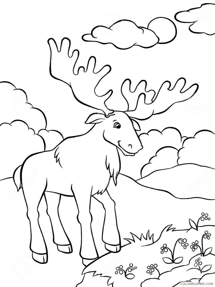 Elk Coloring Pages Animal Printable Sheets Elk 12 2021 1985 Coloring4free