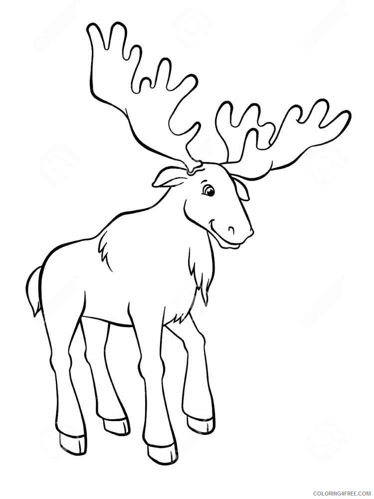 Elk Coloring Pages Animal Printable Sheets Elk 14 2021 1987 Coloring4free