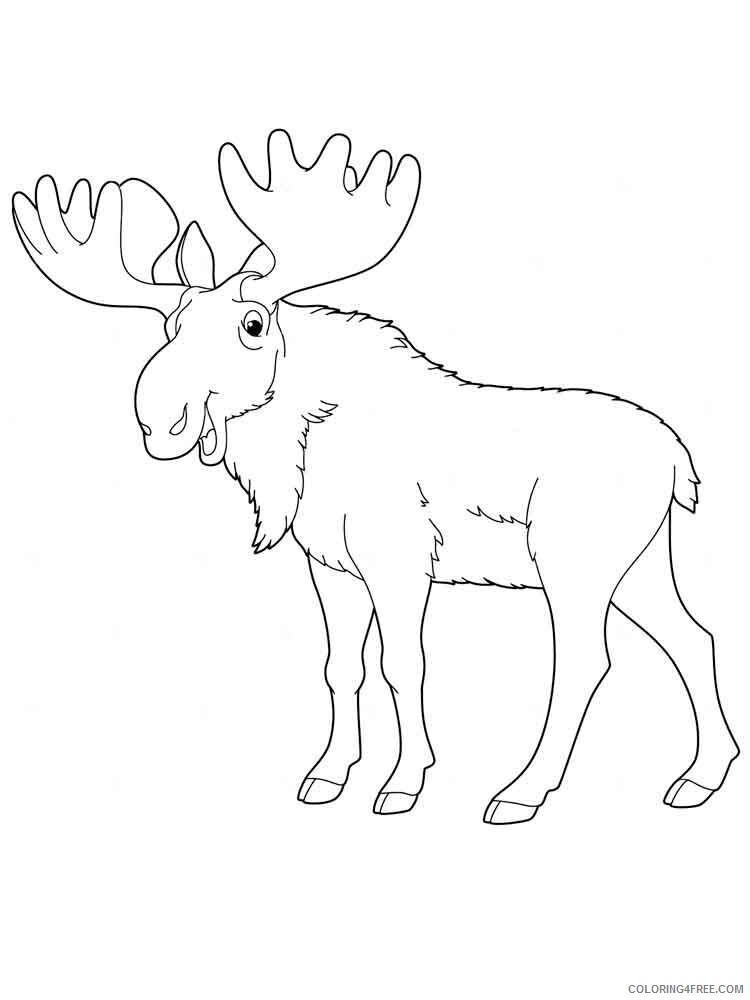 Elk Coloring Pages Animal Printable Sheets Elk 9 2021 1990 Coloring4free