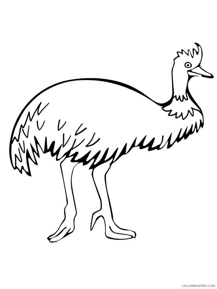 Emu Coloring Pages Animal Printable Sheets Emu birds 13 2021 1992 Coloring4free