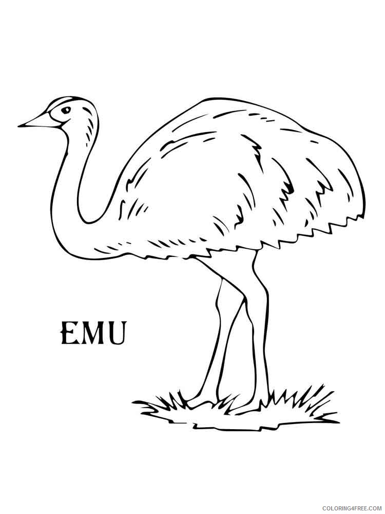 Emu Coloring Pages Animal Printable Sheets Emu birds 7 2021 1995 Coloring4free