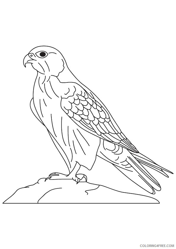 Falcon Coloring Sheets Animal Coloring Pages Printable 2021 1597 Coloring4free