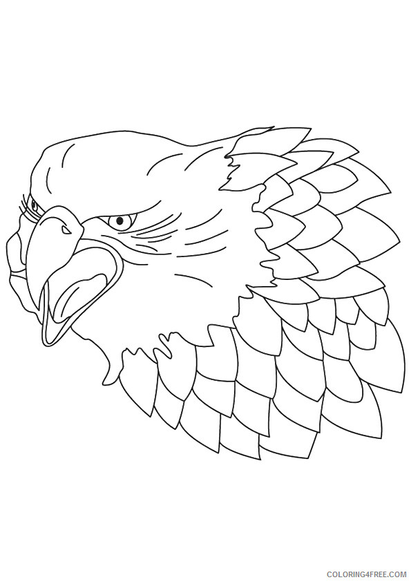 Falcon Coloring Sheets Animal Coloring Pages Printable 2021 1598 Coloring4free