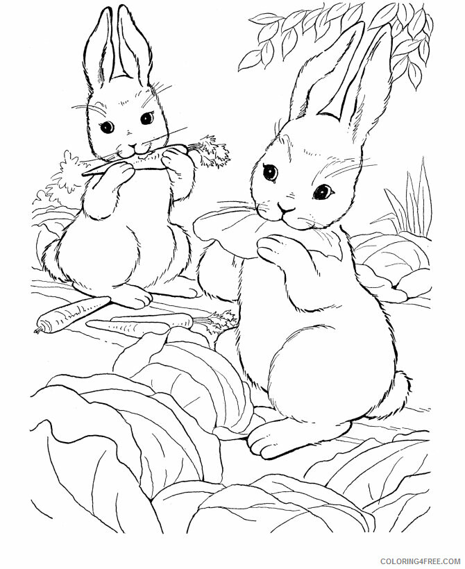 Farm Animal Coloring Pages Animal Printable Sheets to Print 2021 2031 Coloring4free