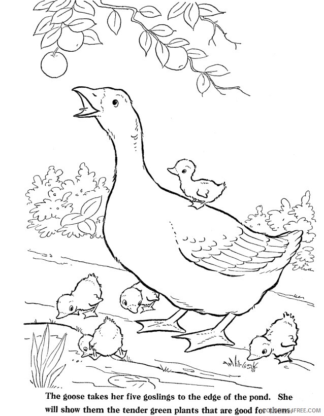 Farm Animal Coloring Sheets Animal Coloring Pages Printable 2021 1637 Coloring4free