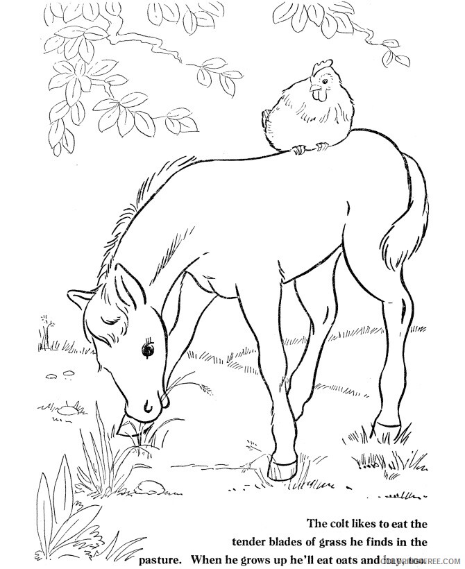 Farm Animal Coloring Sheets Animal Coloring Pages Printable 2021 1643 Coloring4free