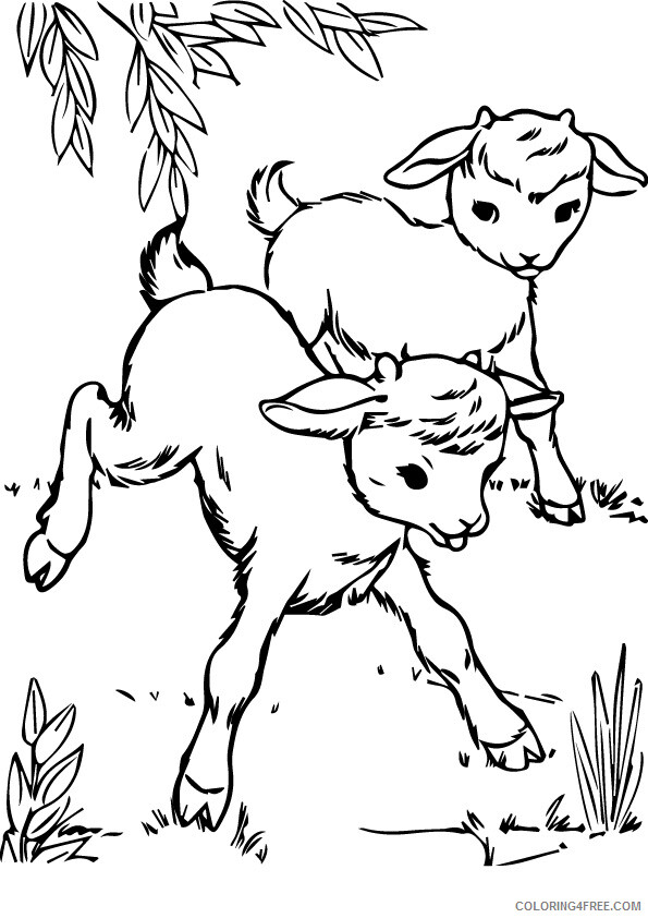 Farm Animal Coloring Sheets Animal Coloring Pages Printable 2021 1696 Coloring4free