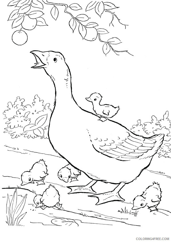 Farm Animal Coloring Sheets Animal Coloring Pages Printable 2021 1697 Coloring4free