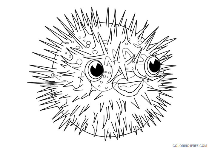 Fish Coloring Pages Animal Printable Sheets Blowfish 2021 2066 Coloring4free