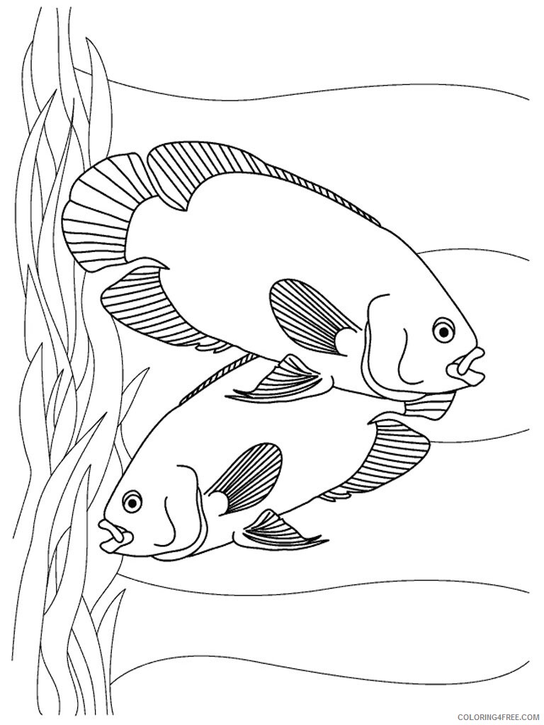 Fish Coloring Pages Animal Printable Sheets Color of Fish 2021 2072 Coloring4free
