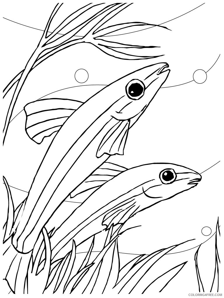 Fish Coloring Pages Animal Printable Sheets Fish 2021 2067 Coloring4free