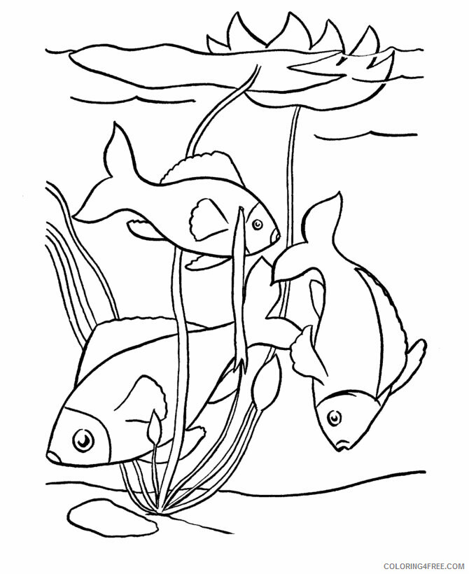 Fish Coloring Pages Animal Printable Sheets Fish 2021 2087 Coloring4free
