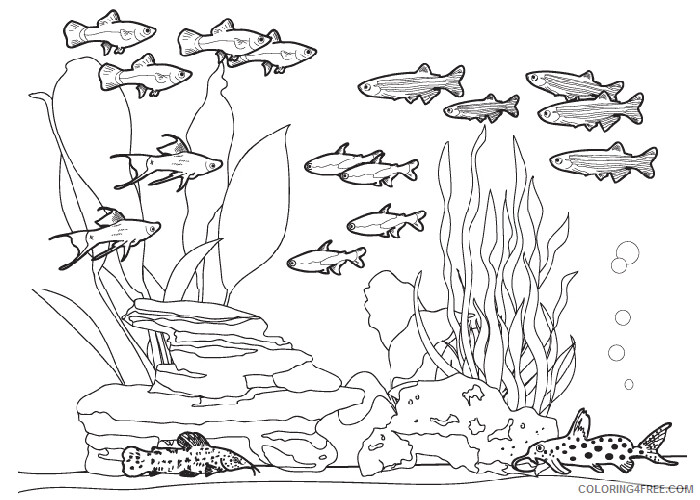 Fish Coloring Pages Animal Printable Sheets Fish tank 2021 2092 Coloring4free