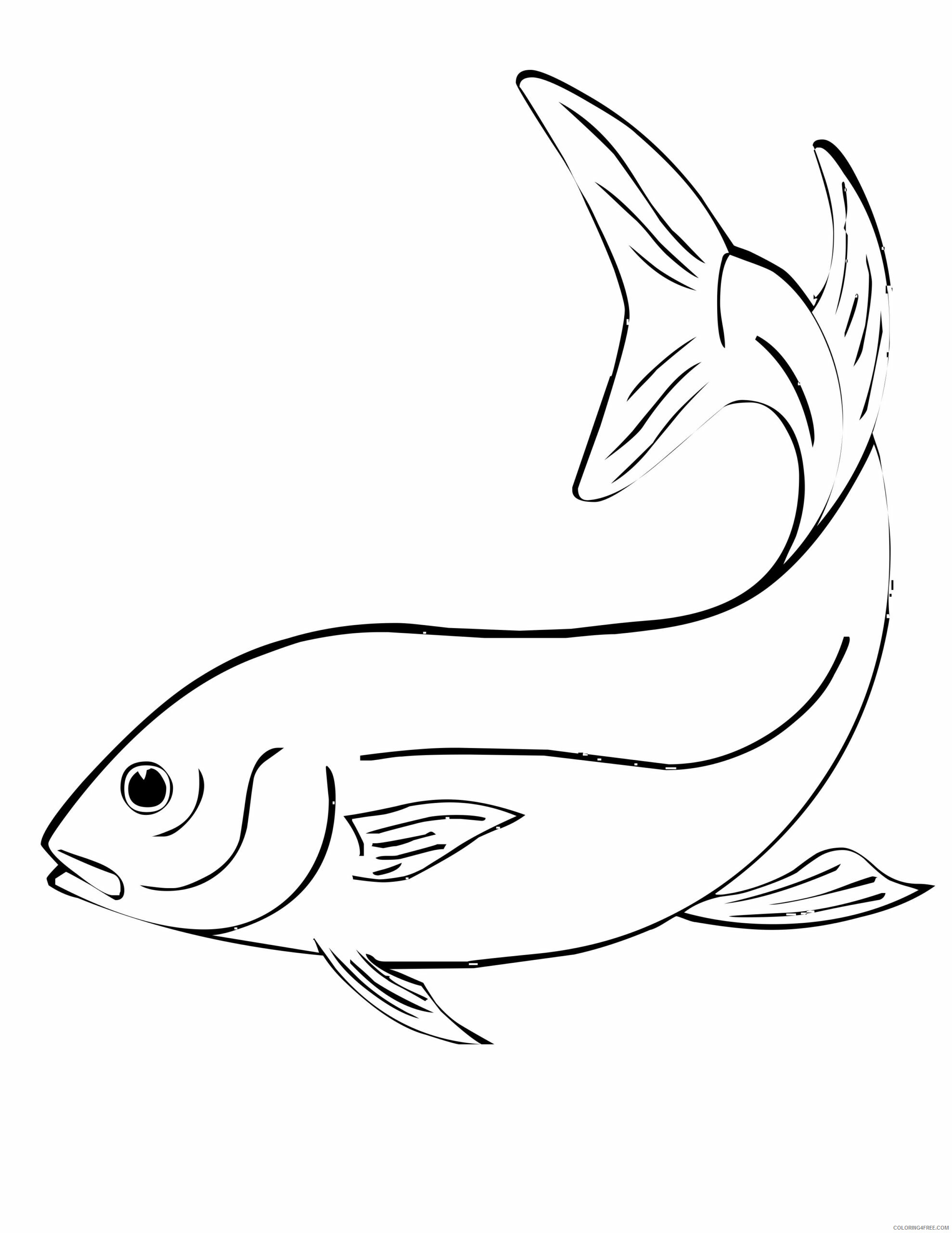 Fish Coloring Pages Animal Printable Sheets Free of Fish 2021 2094 Coloring4free