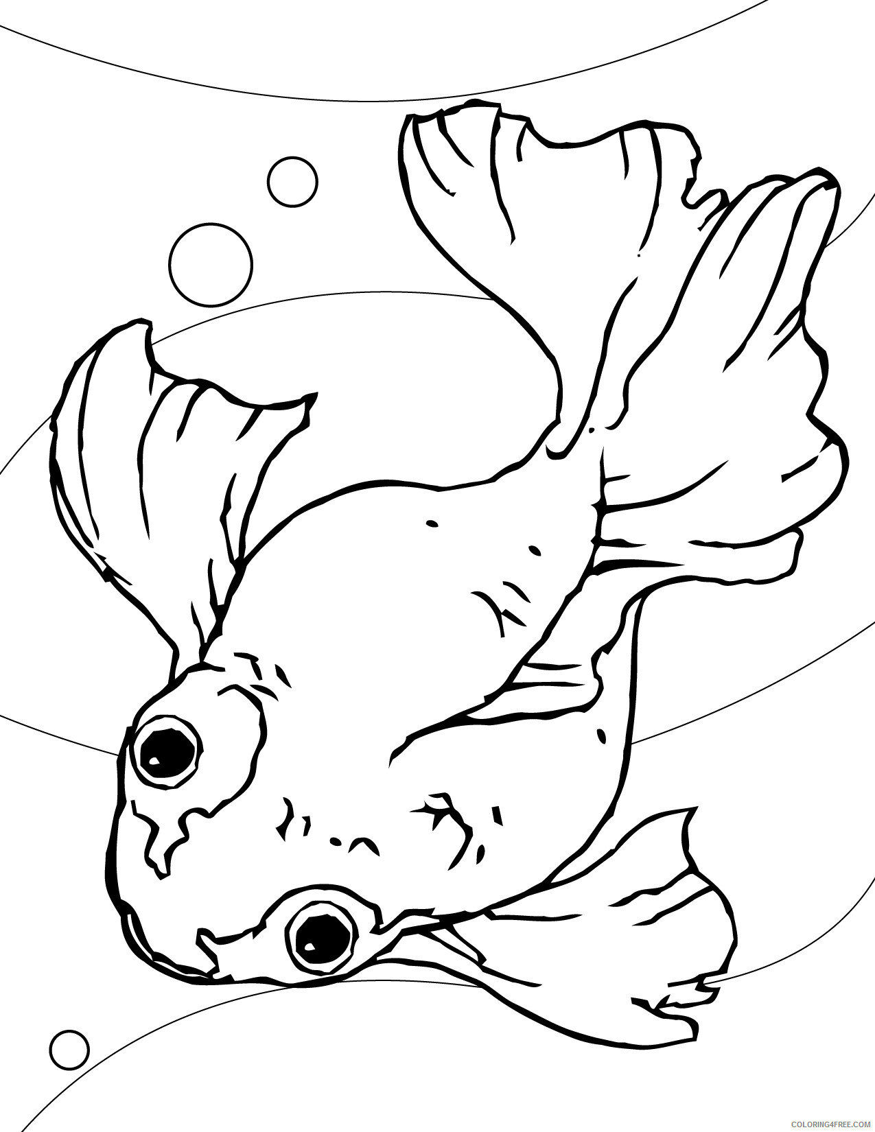 Fish Coloring Pages Animal Printable Sheets Goldfish 2021 2103 Coloring4free